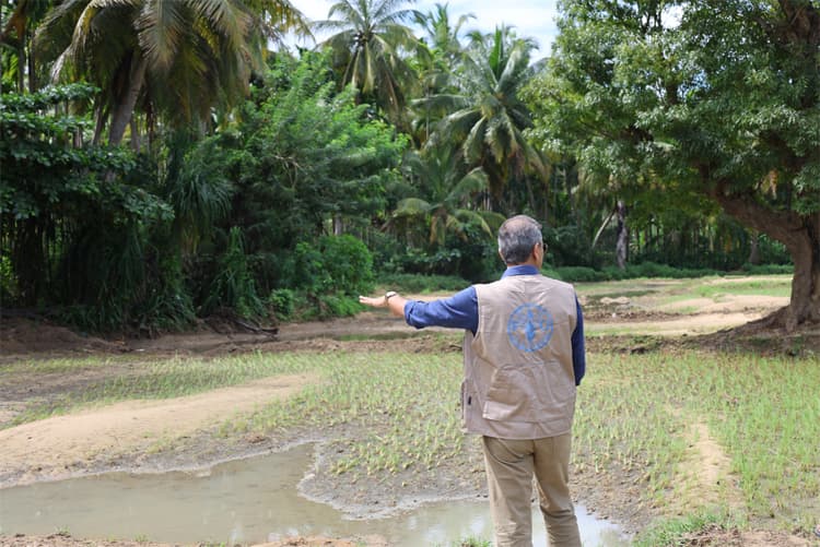 දිට්වා සුළි කුණාටුවෙන් පසු ශ්‍රී ලංකාවේ කෘෂිකර්මාන්තය යළි ගොඩනැගීම: මෙය ප්‍රතිසංස්කරණ න්‍යාය පත්‍රයක් මිස අලුත්වැඩියා කටයුත්තක් නොවේ